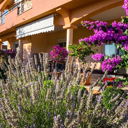 1001 Nights Apartman Zára